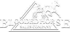 Blooded Horse Sales